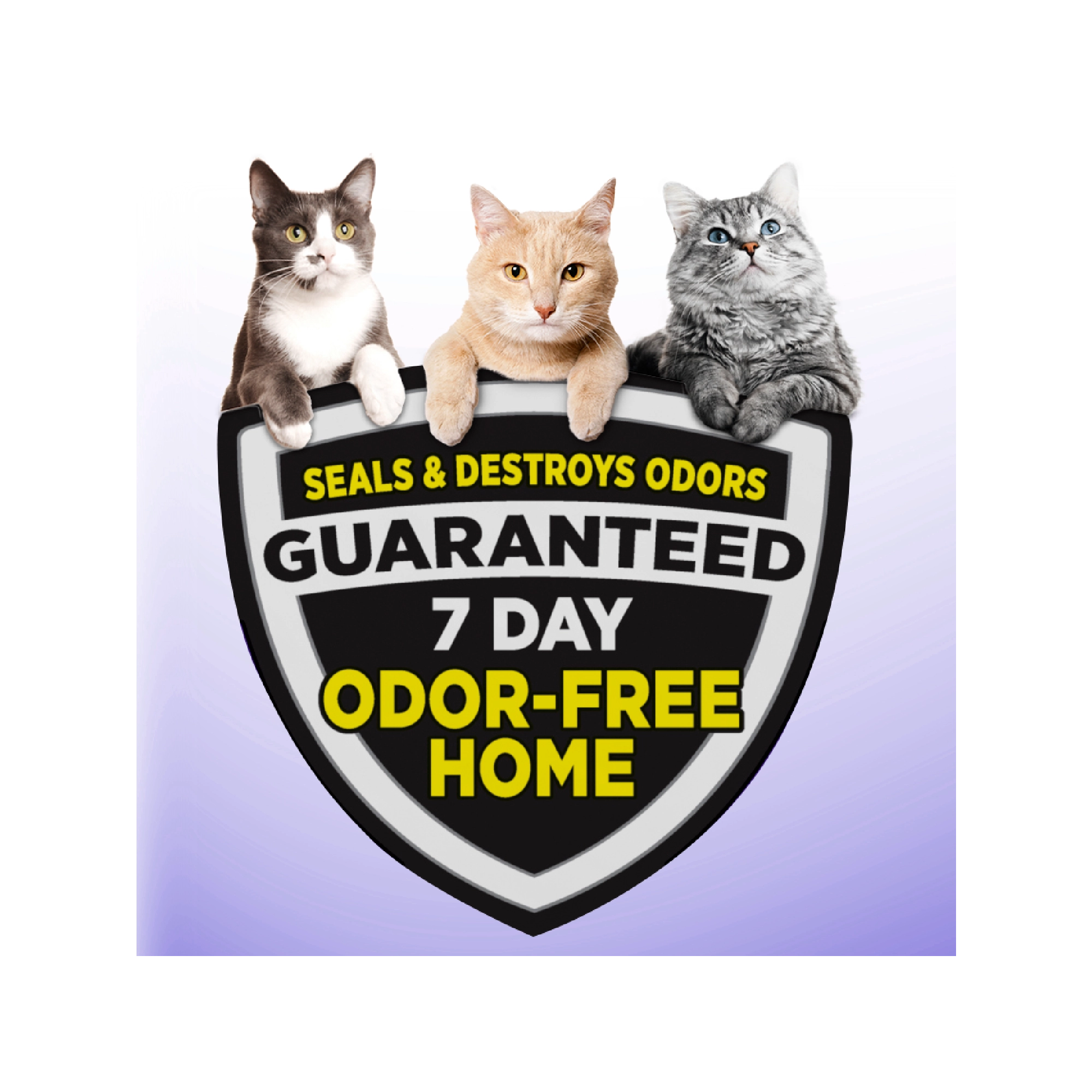 ARM & HAMMER SLIDE Easy Clean-Up Multi-Cat Clumping Cat Litter, 28 lb