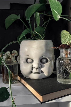 Dolls Head Planter