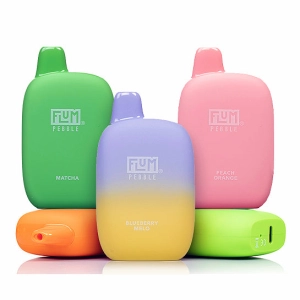 Flum Pebble Disposable Vape - 6,000 Puffs