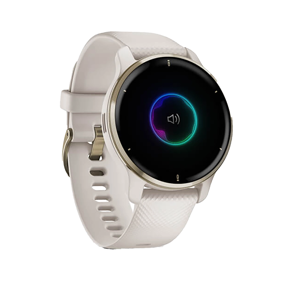 Garmin Venu 2 Plus