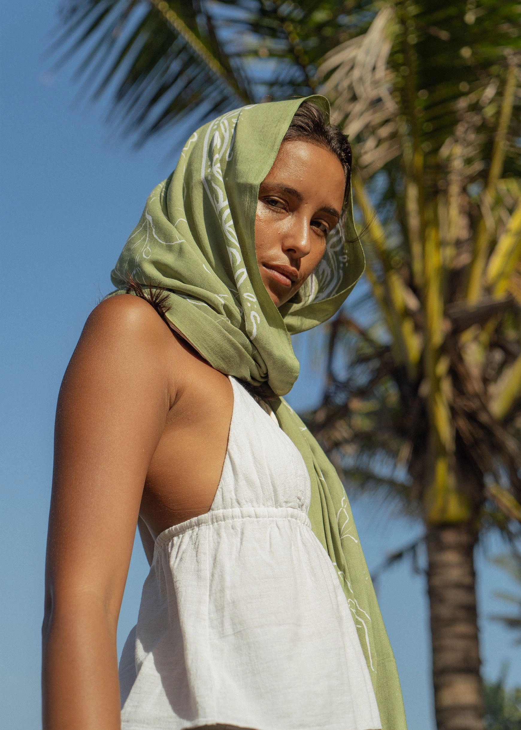 Isla Sarong Palm