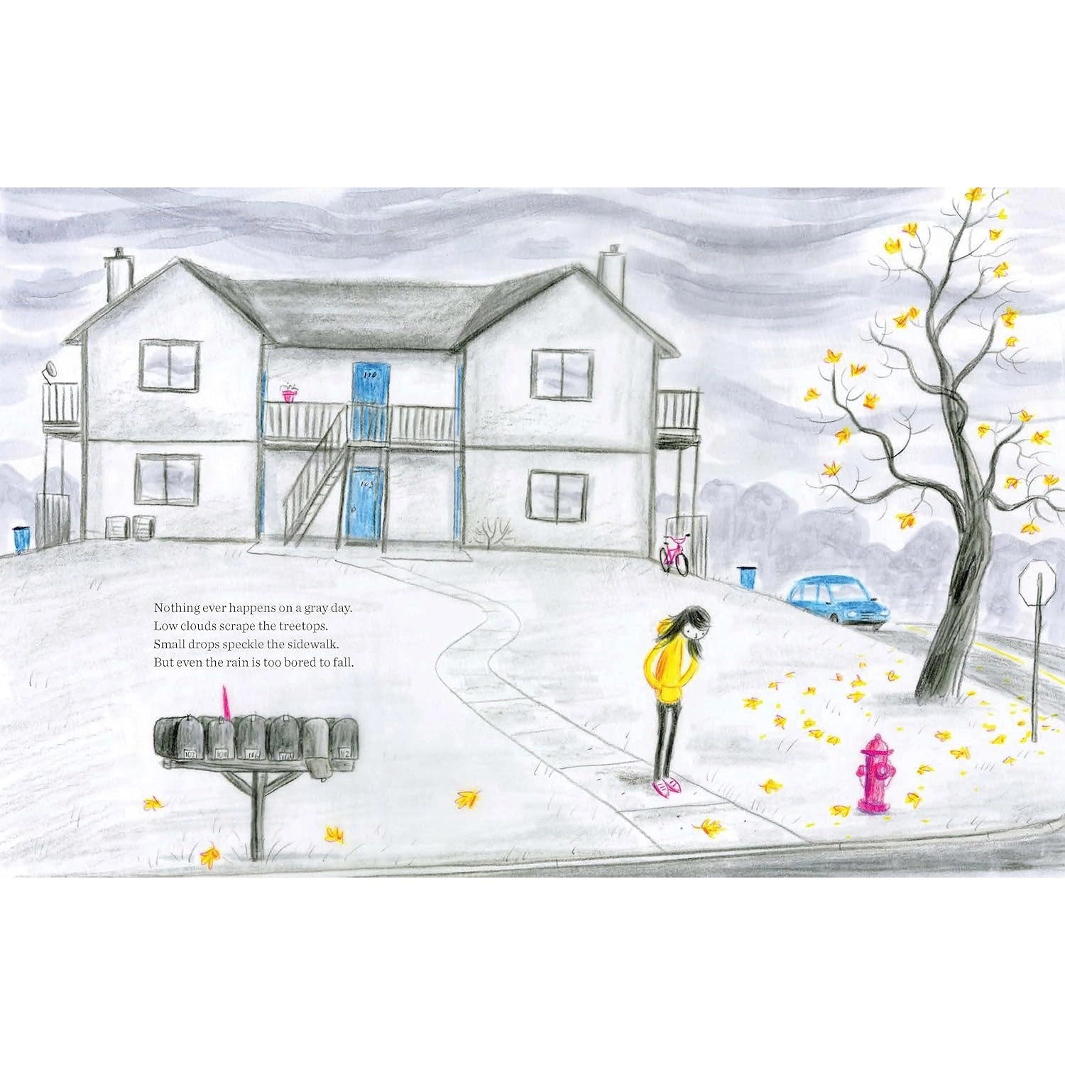 Nothing Ever Happens on a Gray Day Book