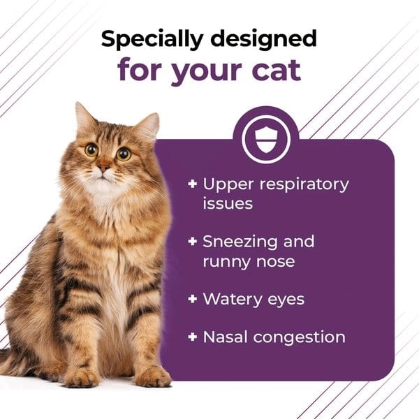 VetriScience Lysine Complete Creamy Chicken Flavor Triple-Action Immune Support Supplement for Cats