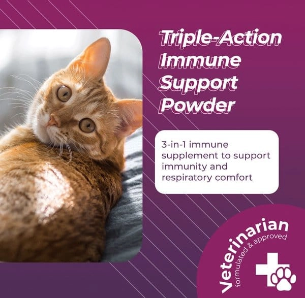 VetriScience Lysine Complete Creamy Chicken Flavor Triple-Action Immune Support Supplement for Cats